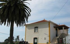 Casa Da Palmeira