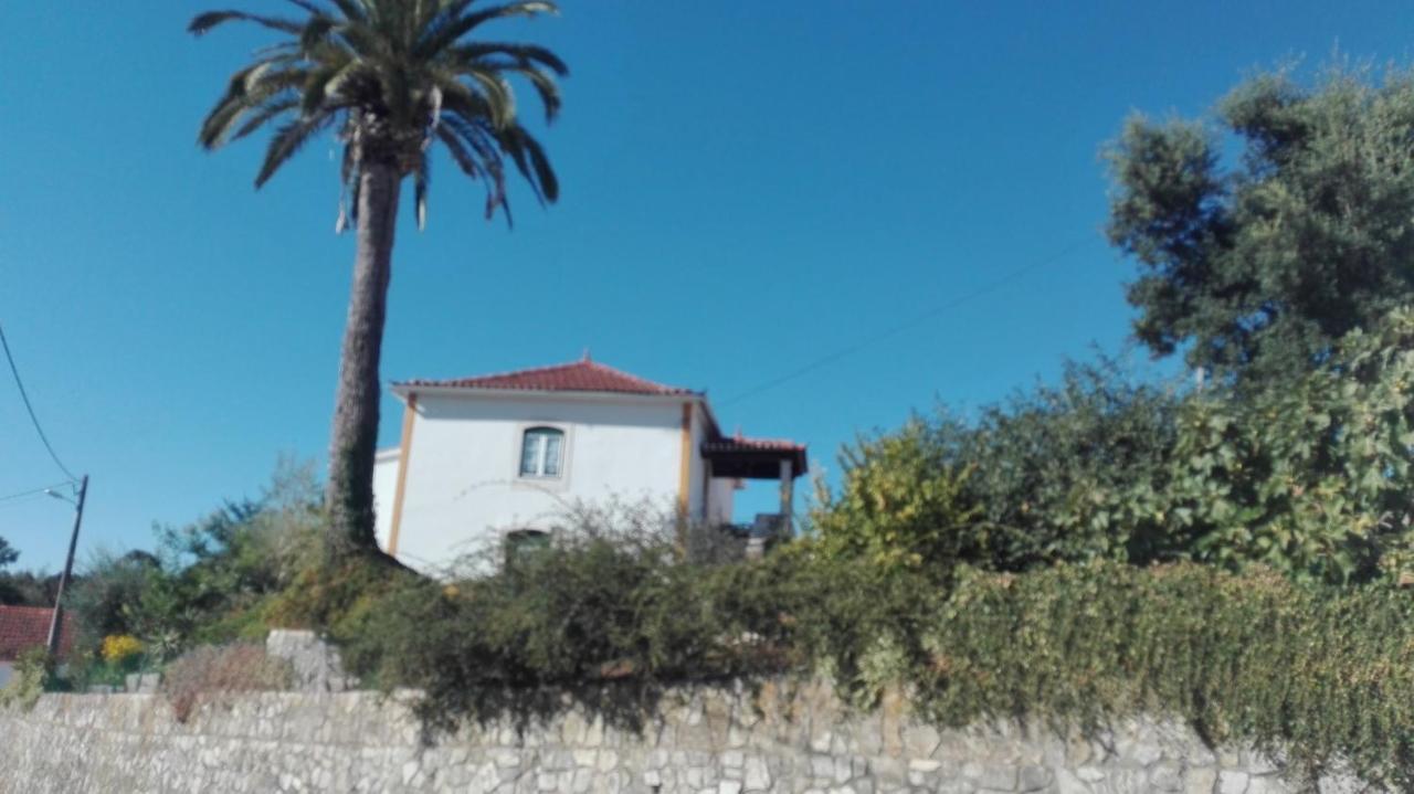 Casa Da Palmeira Outeiro da Corticada Exterior foto